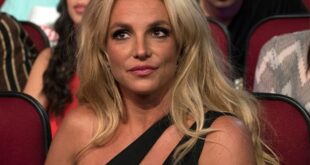 Britney Spears voices concerns she’s a ‘bad mother’: ‘Pause for a second!’