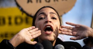 AOC says young people not having children because of 'burdens of capitalism,' more immigration is the answer