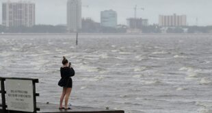 Democrats blaming climate change for Hurricane Ian at odds with science, experts say