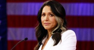 Tulsi Gabbard leaves Democratic Party, denounces it as 'elitist cabal'