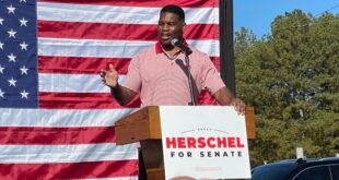 Herschel Walker with Lindsey Graham on record early voting in Georgia and Walker