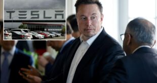 Elon Musk tells Tesla staff he must approve all hiring: report