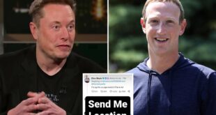 Mark Zuckerberg, Elon Musk privately ripped each other for years before 'cage match' challenge: report