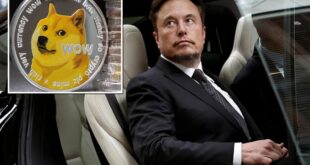 Elon Musk denies owning Dogecoin cryptocurrency wallets