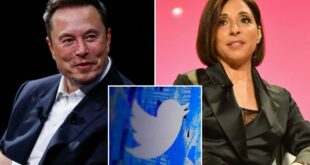 Twitter rate limits could undermine CEO Linda Yaccarino: ad experts