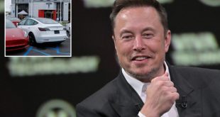 Tesla Q2 sales beat estimates as Elon Musk's price cuts drive demand