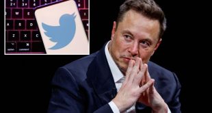 Elon Musk says Twitter to change logo, adieu to 'all the birds'