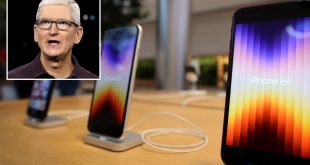 Apple iPhone sales drop in Q3, Tim Cook set to spend more on AI